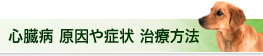 心臓病 原因や症状 治療方法