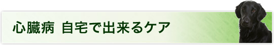 犬の心臓病について