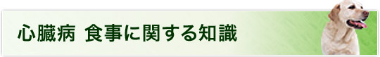 犬の心臓病について