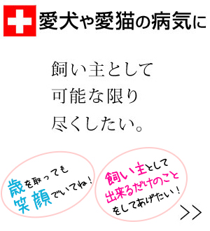 愛犬・愛猫が元気なくなったら…