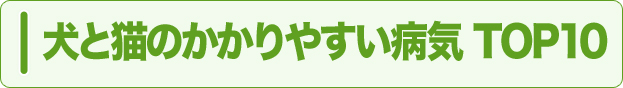 ペットのかかりやすい病気top10