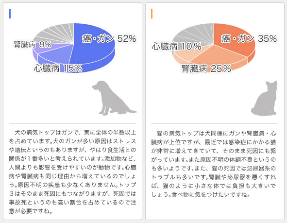 犬・猫がかかりやすい病気TOP10