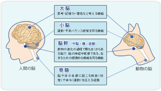 500 年 凍っ てい た 美 少女